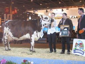 CGA2010_014.jpg