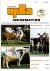 Normande_Upra_Information_64_2.jpg