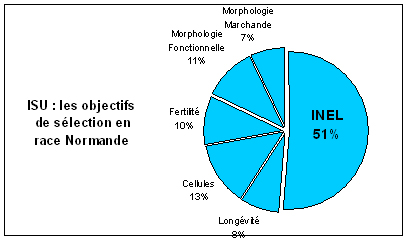 Sans_titre-1_copie.jpg