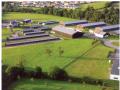 Vua_rienne_2006_1.jpg