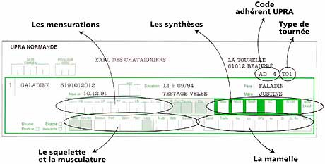 Bordereau de pointage