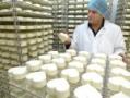 fromager.jpg