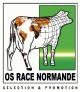 logo_os_1.jpg