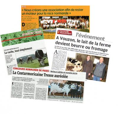 toute_copie.jpg