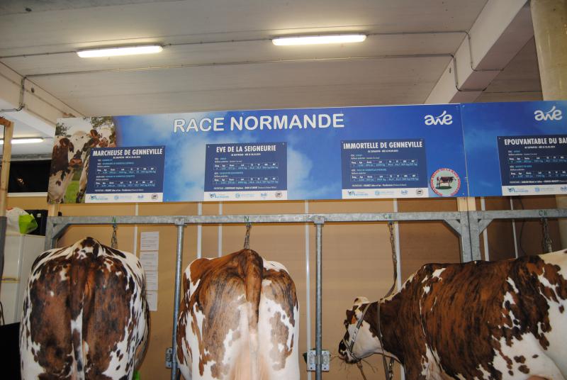 Foire de Libramont
