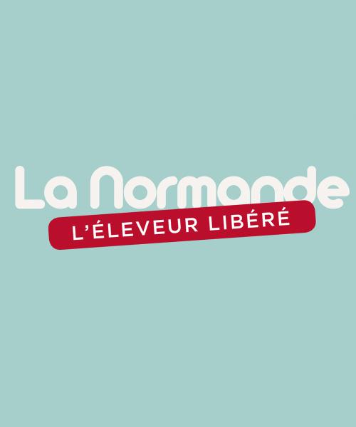 PO ouverte du Robillard avec Show Gnisses