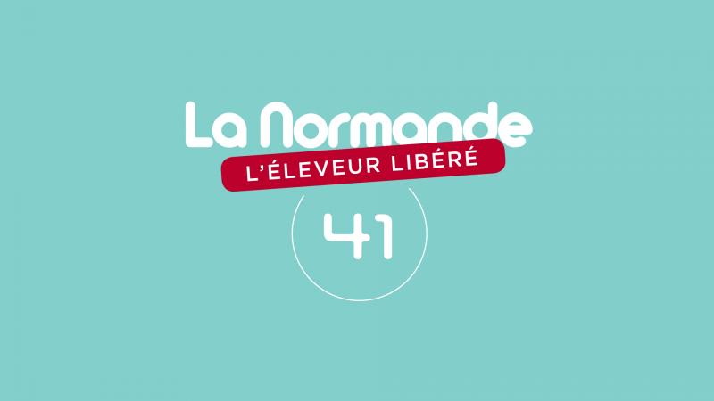 CONCOURS DPARTEMENTAL DU LOIR-ET-CHER (41)
