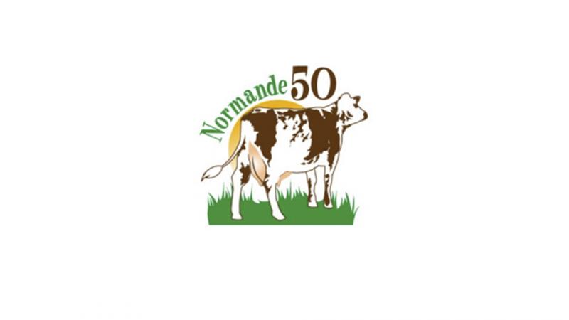 Concours dpartemental de la race normande de la Manche