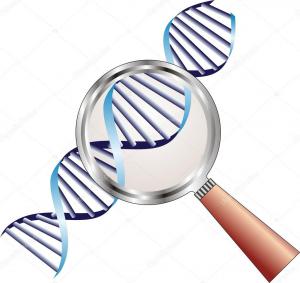 depositphotos_12230609-stock-illustration-dna-helix-under-magnifying-glass_1.jpg